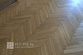 Пол 5